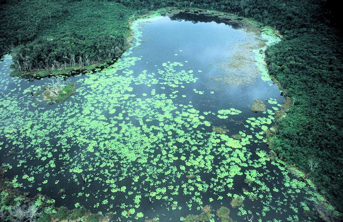Mittelamerika 1993 1994-02-094.jpg
